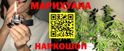 сатива Сланцы