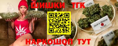 сатива Сланцы