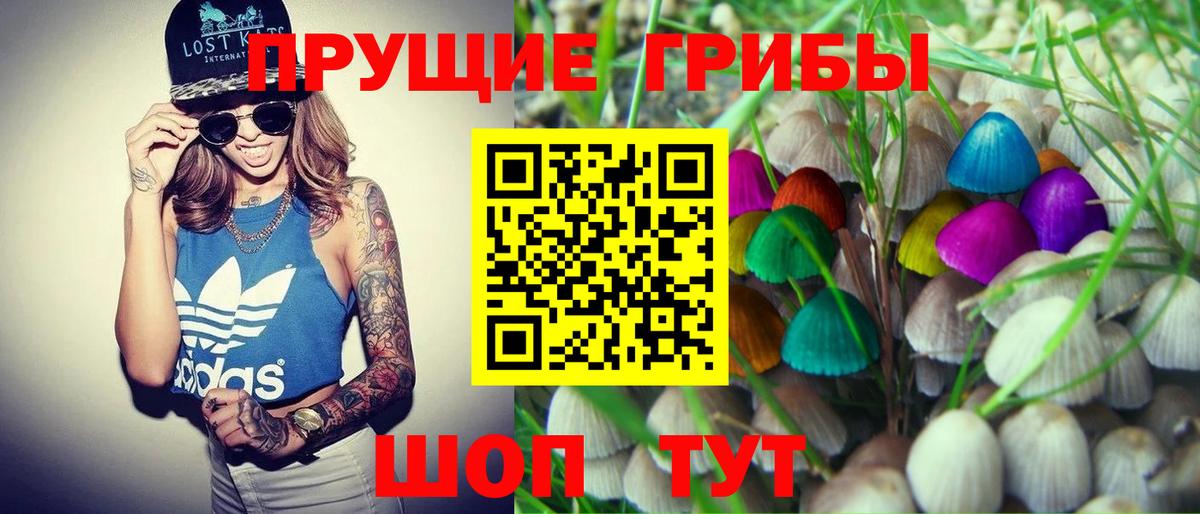 Миасс  Псилоцибиновые грибы GOLDEN TEACHER  Вход с VPN 